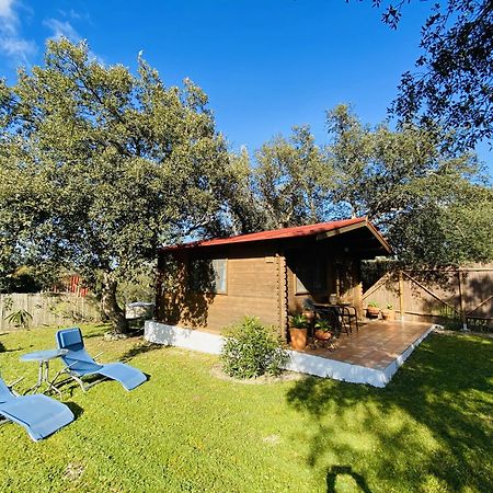 Villa Casita Louisa à Chiclana de la Frontera Extérieur photo